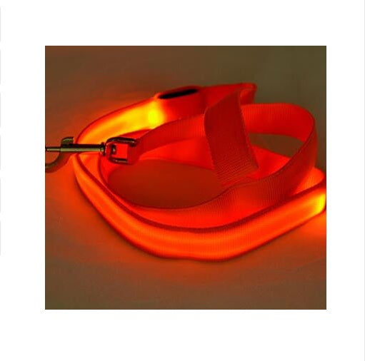 LED Illuminated Nylon Leash for Happy Night Walks