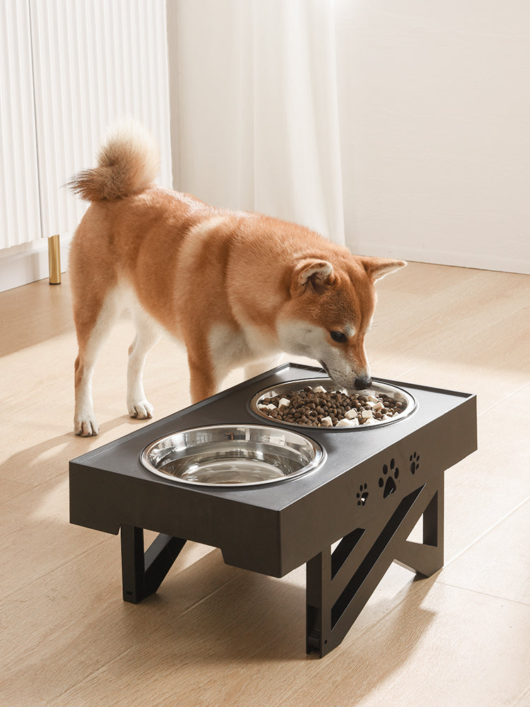 Foldable Pet Feeder – Stainless Steel Bowl for Dogs