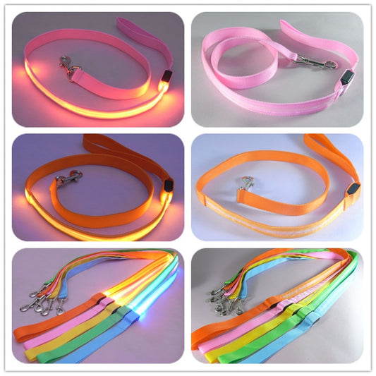 LED Illuminated Nylon Leash for Happy Night Walks