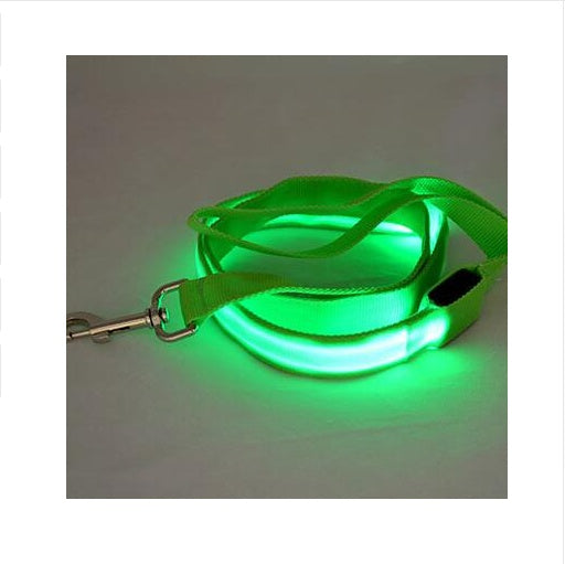 LED Illuminated Nylon Leash for Happy Night Walks
