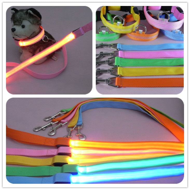 LED Illuminated Nylon Leash for Happy Night Walks