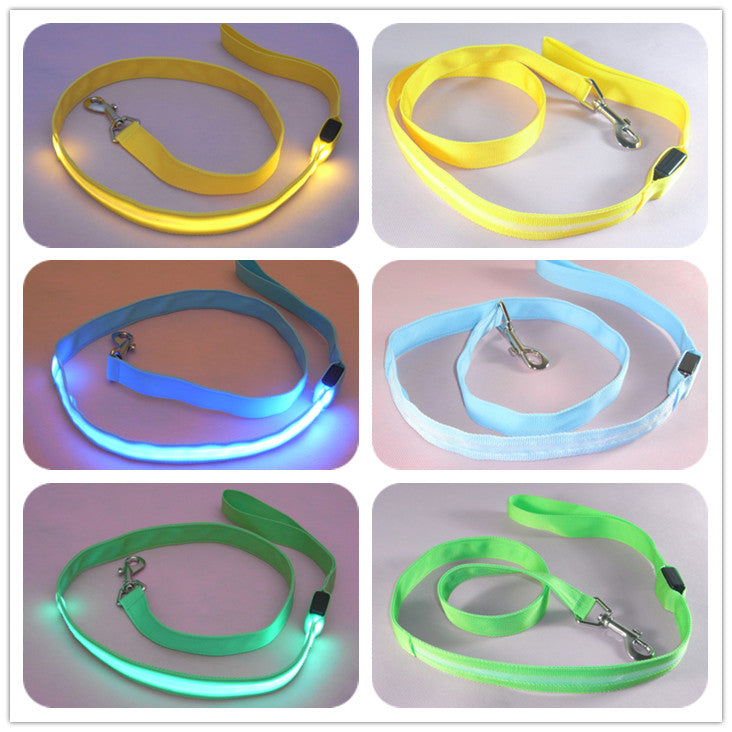 LED Illuminated Nylon Leash for Happy Night Walks